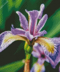 Purple Iris Flower Plant Diamond Painting