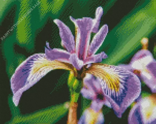 Purple Iris Flower Plant Diamond Painting