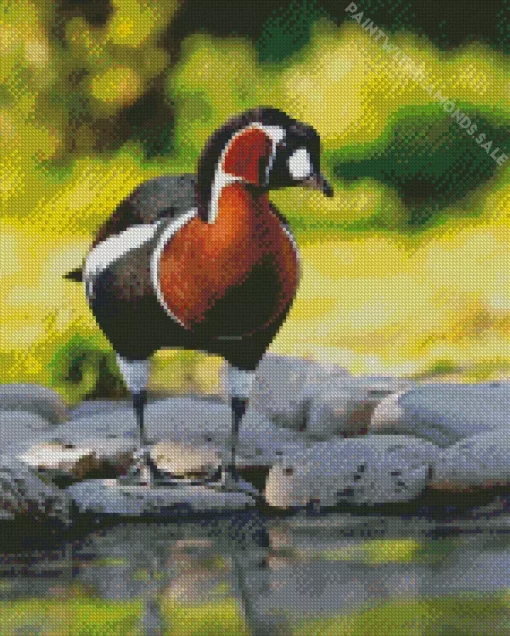 Red Breasted Goose Diamond Painting