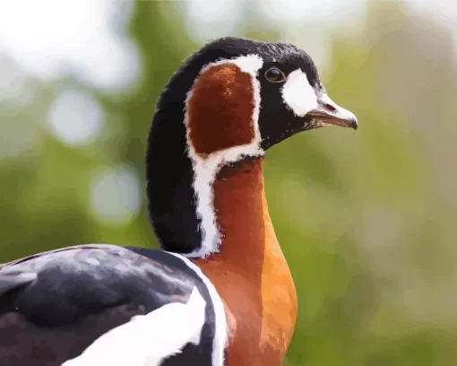 Red Breasted Goose Bird Diamond Painting