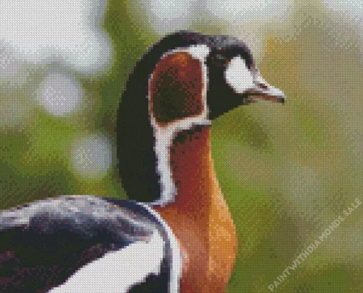 Red Breasted Goose Bird Diamond Painting