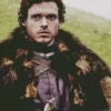 Rob Stark Game Of Thrones diamond dotz