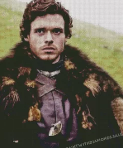 Rob Stark Game Of Thrones diamond dotz