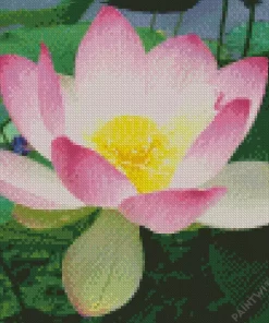 Sacred Lotus Diamond Painting