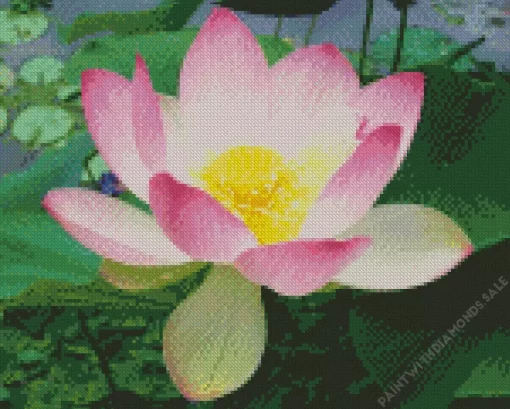 Sacred Lotus Diamond Painting