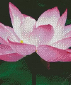 Sacred Lotus Close Up Diamond Painting