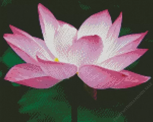 Sacred Lotus Close Up Diamond Painting