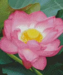 Sacred Lotus Flower Diamond Painting