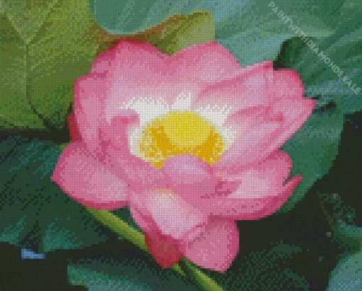 Sacred Lotus Flower Diamond Painting