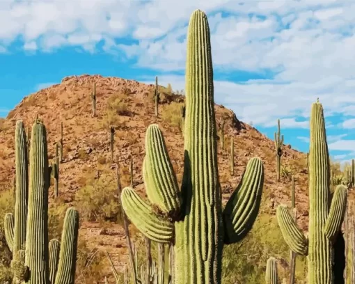 Saguaro Cactus Diamond Painting