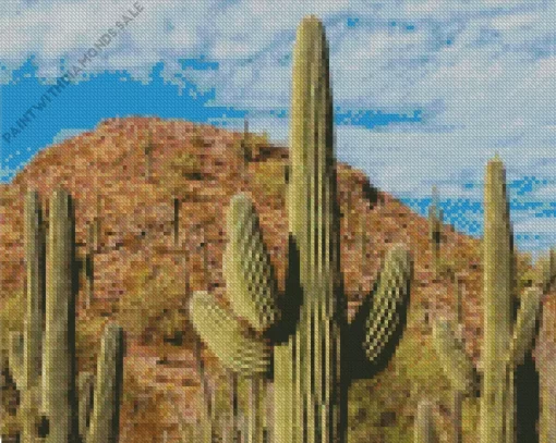 Saguaro Cactus Diamond Painting