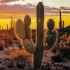 Saguaro Cactus At Sunset Diamond Painting