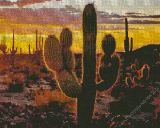 Saguaro Cactus At Sunset Diamond Painting