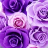 Shades Of Purple Roses Diamond Painting