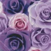 Shades Of Purple Roses Diamond Painting