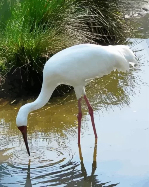 Siberian Crane Diamond Painting