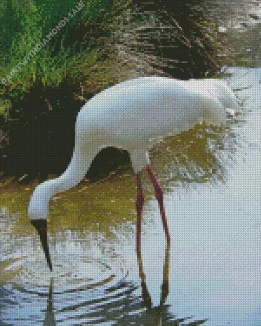 Siberian Crane Diamond Painting