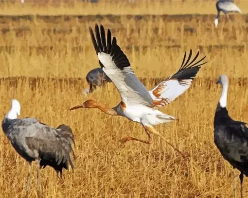 Siberian Crane Bird Diamond Painting