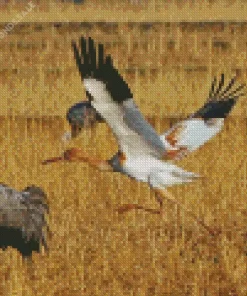 Siberian Crane Bird Diamond Painting