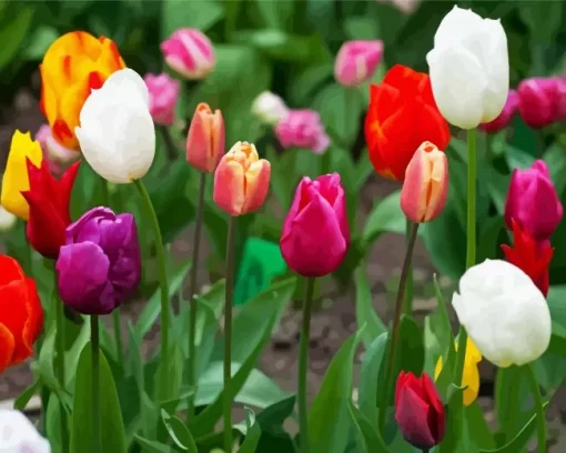 Single Early Tulips Diamond Painting