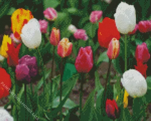 Single Early Tulips Diamond Painting