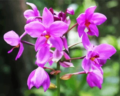 Spathoglottis Plicata Diamond Painting