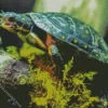 Spotted Turtle Diamond Painting