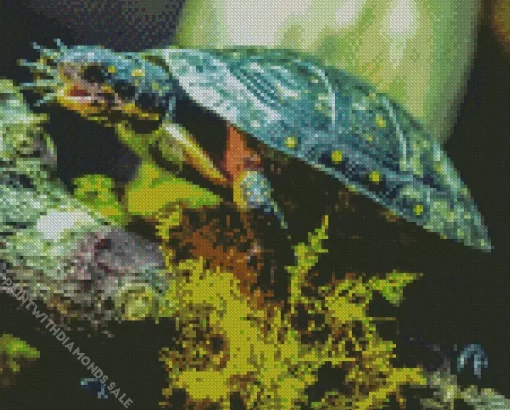 Spotted Turtle Diamond Painting