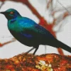 Starling Blue Eared Bird Diamond Painting