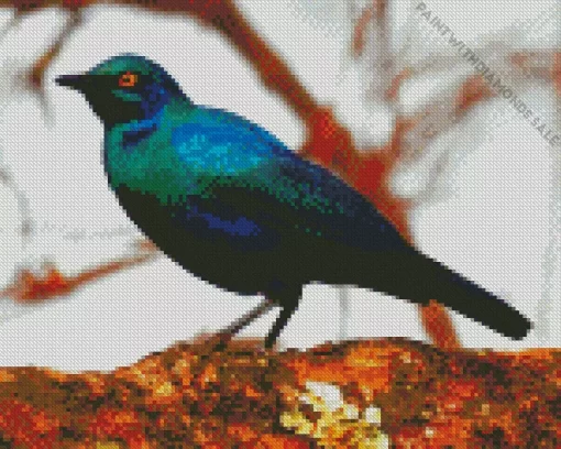 Starling Blue Eared Bird Diamond Painting