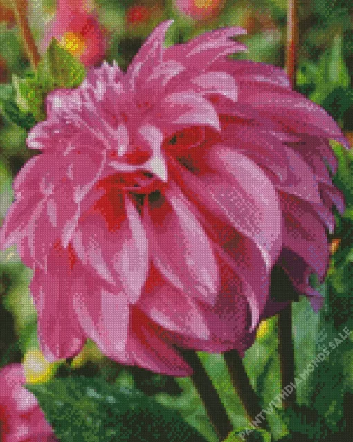 Stella Dahlia Dlower Diamond Painting