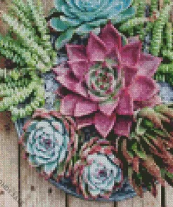 Succulent Plant Diamond Painting