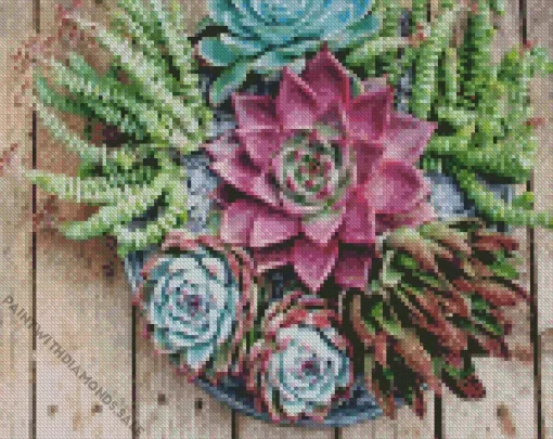 Succulent Plant Diamond Painting