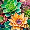 Succulent With Flowers Diamond Painting