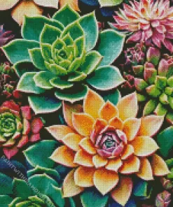 Succulent With Flowers Diamond Painting