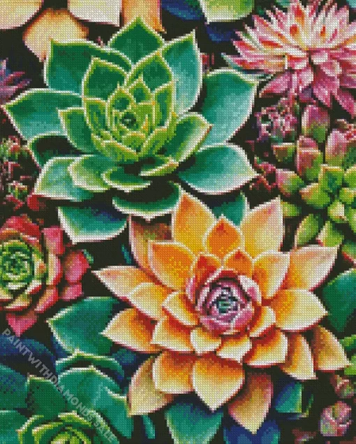 Succulent With Flowers Diamond Painting