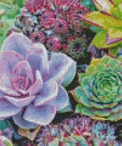 Succulents Diamond Painting