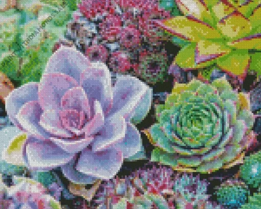 Succulents Diamond Painting