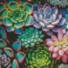 Succulents Plant Diamond Painting