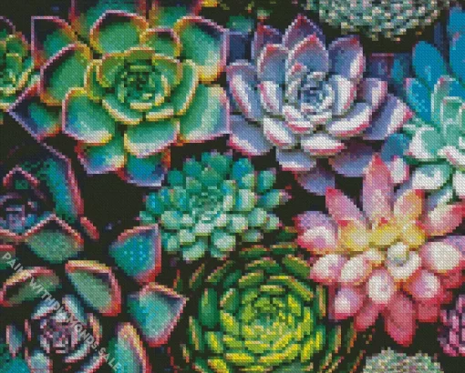 Succulents Plant Diamond Painting