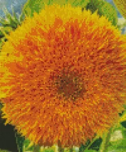 Teddy Bear Sunflower Diamond Painting