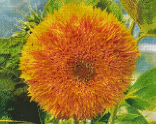 Teddy Bear Sunflower Diamond Painting