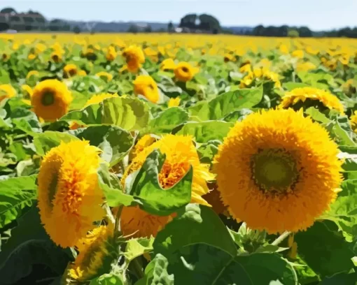 Teddy Bear Sunflower Field Diamond Painting