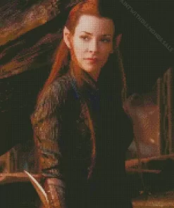 The Hobbit Tauriel Diamond By Numbers