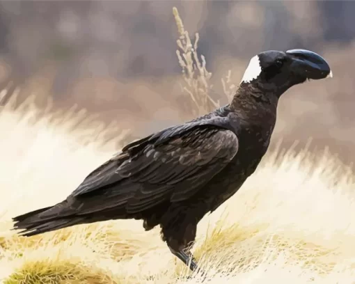 Thick Billed Raven Bird Diamond Painting