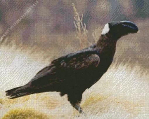 Thick Billed Raven Bird Diamond Painting