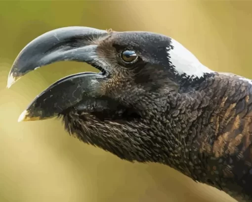 Thick Billed Raven Close Up Diamond Painting