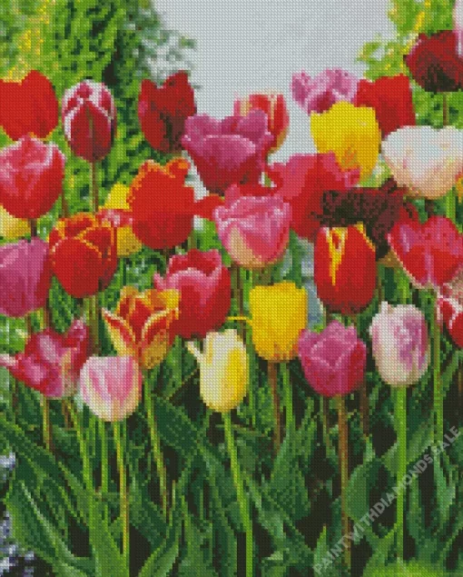 Triumph Tulips Diamond Painting