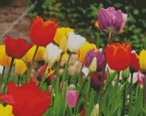 Triumph Tulips Flowers Diamond Painting