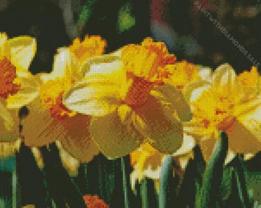 Trumpet Daffodils Diamond Painting